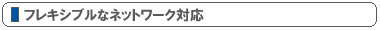 フレキシブルなネットワーク対応